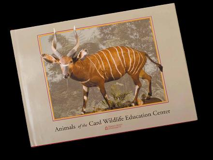 ヒラリー　エベレスト NATIONAL GEOGRAPHICサイン鑑定書付き Card Wildlife Center